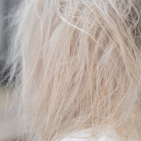 Elektryzujące się włosy: dlaczego fryzura się puszy? Jak się pozbyć problemu elektryzujących się włosów? Domowe sposoby i rady ekspertów